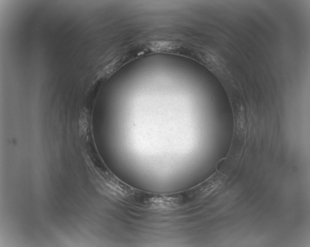 X0000053110367200507251703