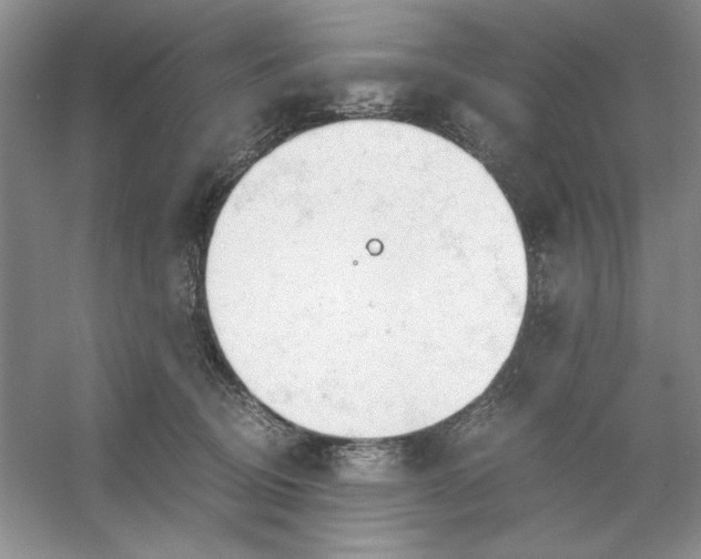 X0000053110370200507251703