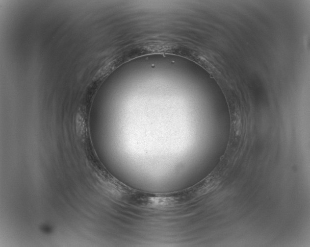 X0000053110371200507251703