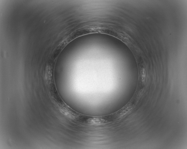 X0000053110372200507251703
