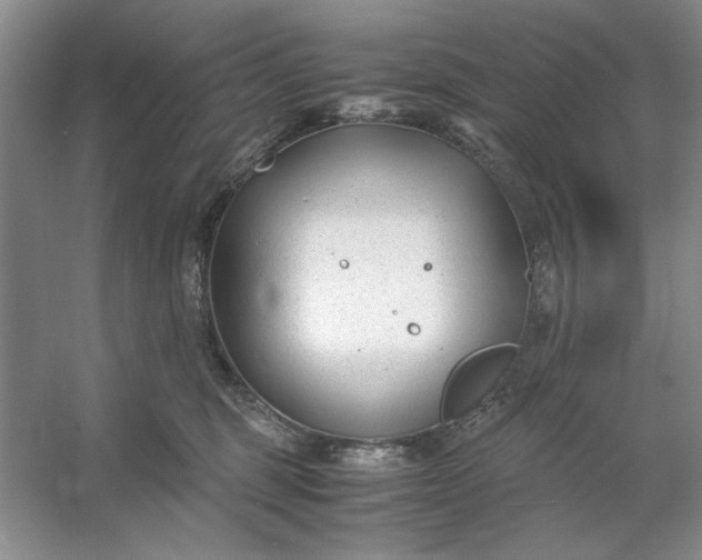 X0000053110375200507251703