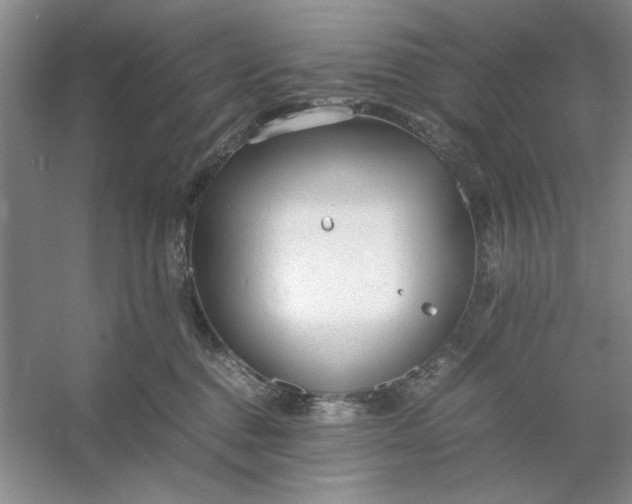 X0000053110376200507251703