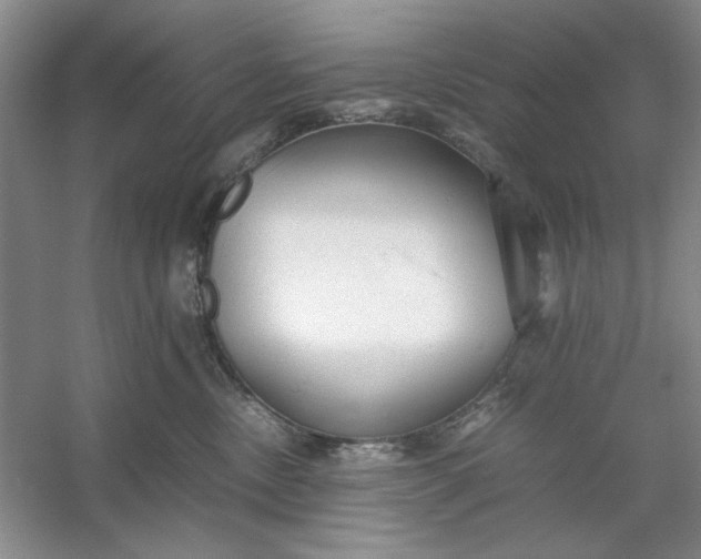 X0000053110378200507251703