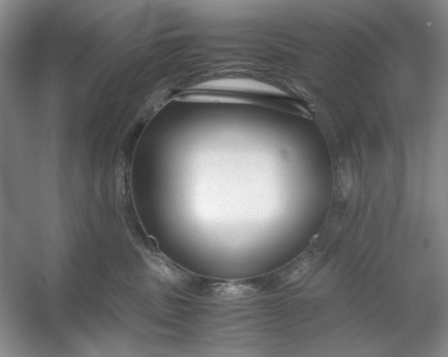 X0000053110379200507251703