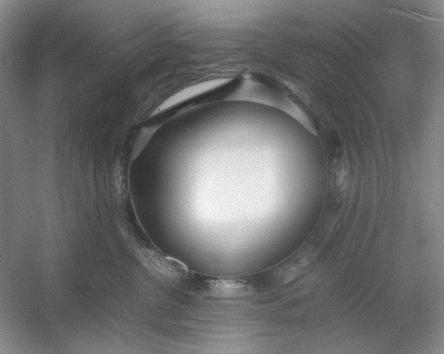 X0000053110380200507251703