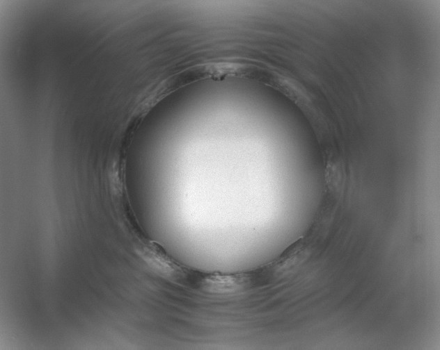 X0000053110381200507251703