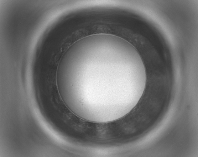 X0000053110382200507251703