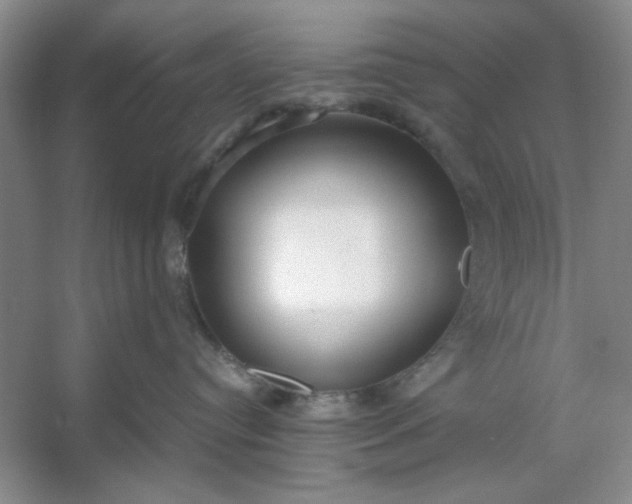 X0000053110384200507251703