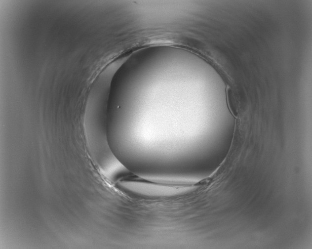 X0000053110385200507251702