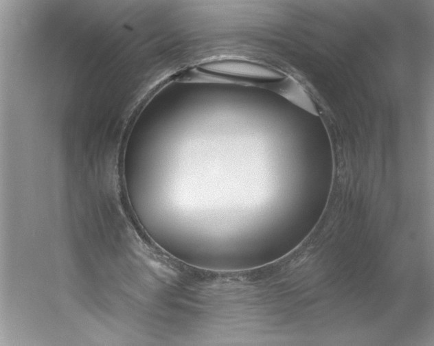 X0000053110386200507251702