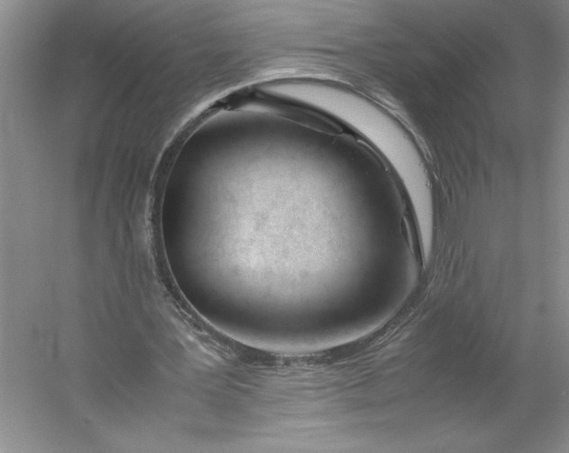 X0000053110387200507251702