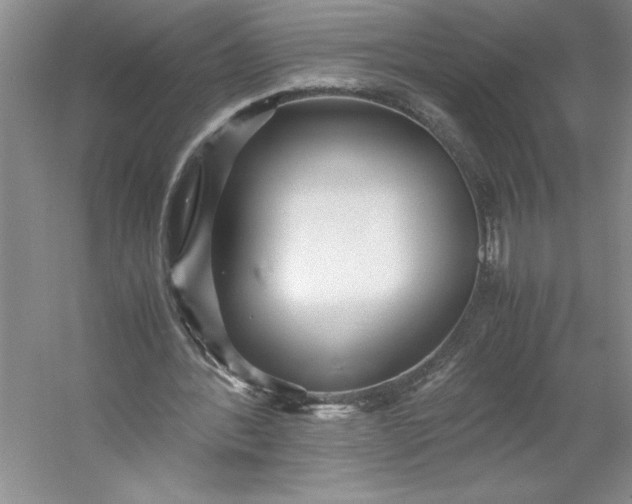 X0000053110388200507251702