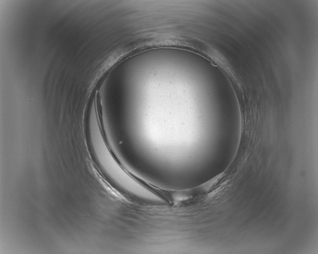 X0000053110389200507251702