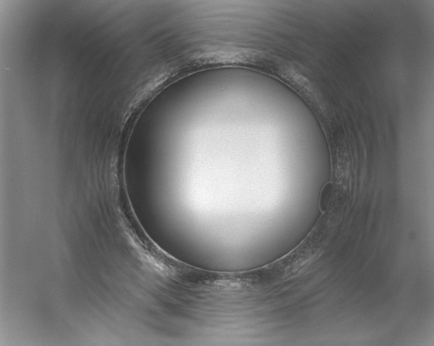 X0000053110394200507251702