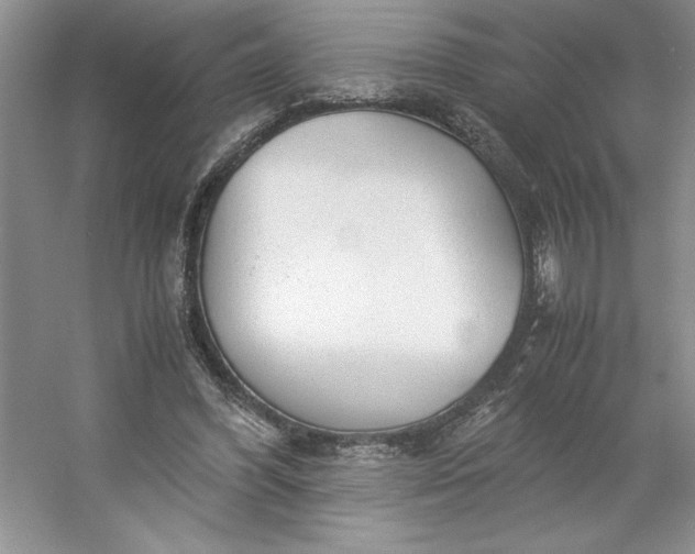 X0000053110396200507251702