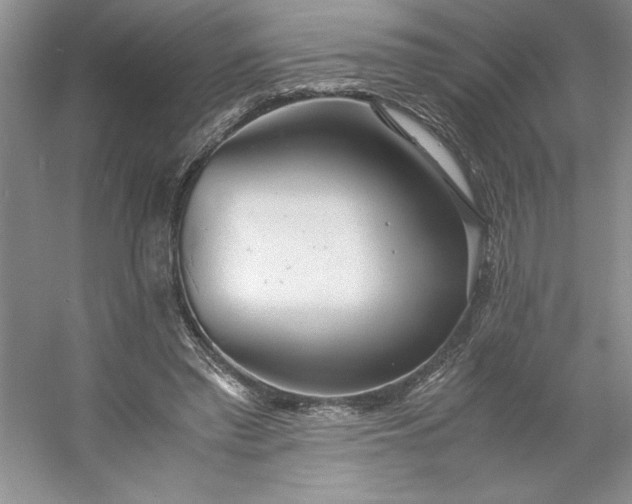 X0000053110397200507251702