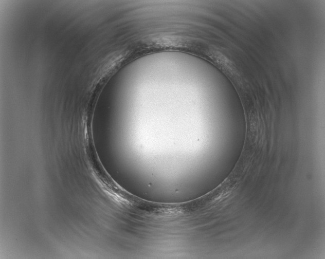 X0000053110398200507251702