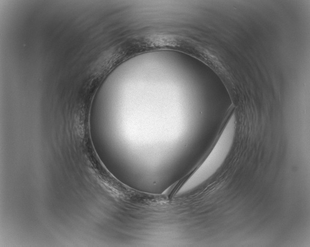 X0000053110402200507251702