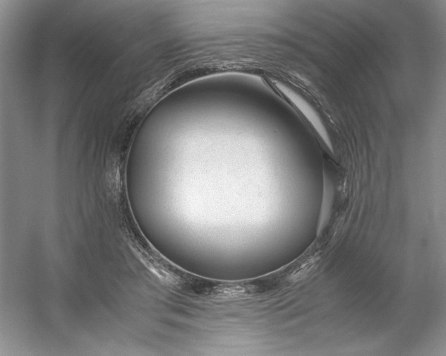 X0000053110405200507251702
