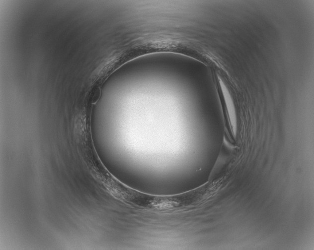 X0000053110407200507251702