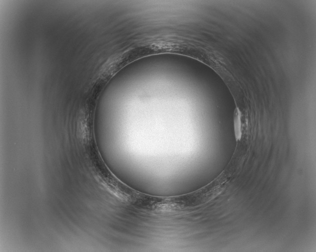 X0000053110408200507251702