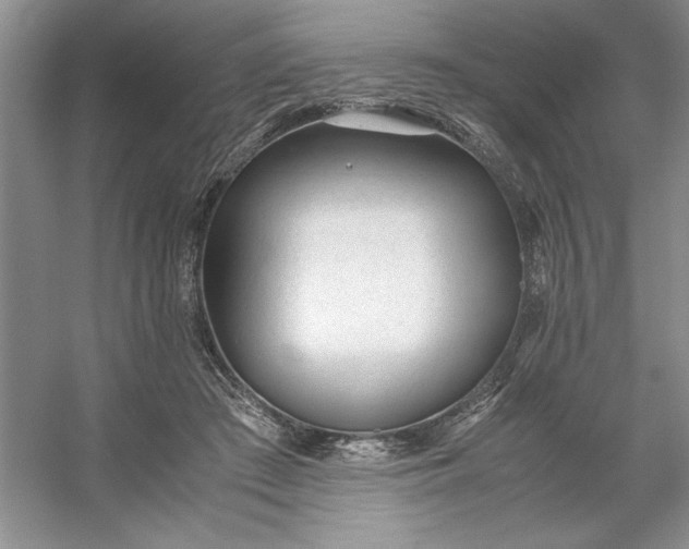 X0000053110409200507251702