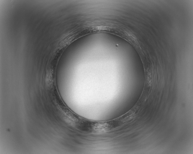 X0000053110410200507251702