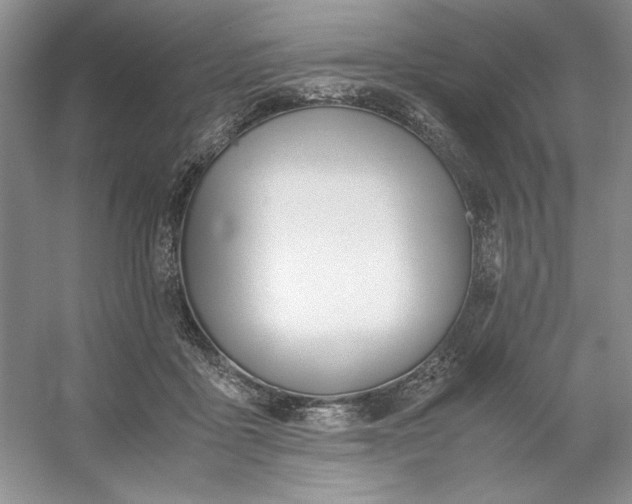 X0000053110411200507251702