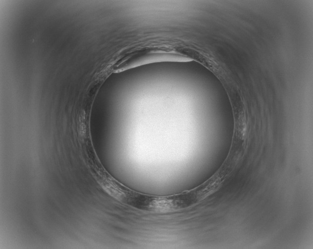 X0000053110413200507251702