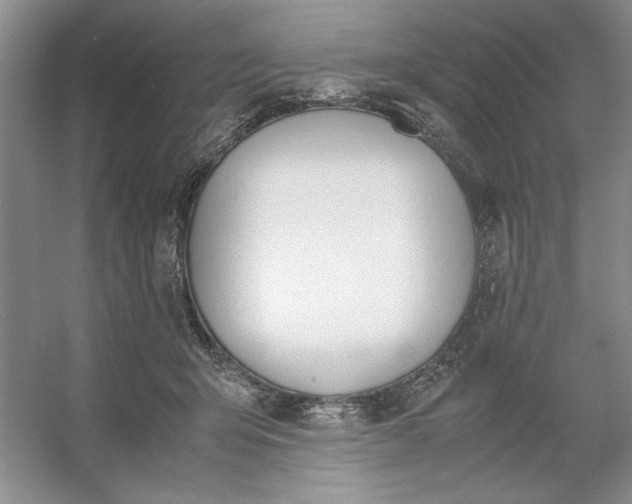 X0000053110415200507251702