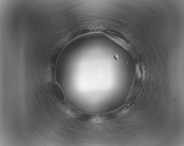 X0000053110416200507251702