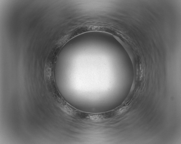 X0000053110417200507251702