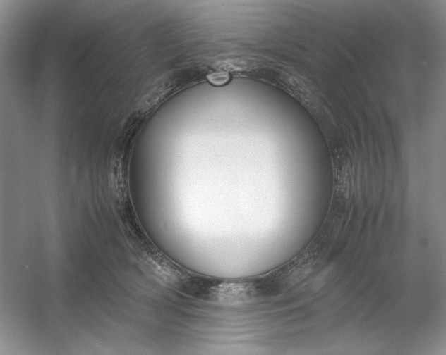 X0000053110418200507251702