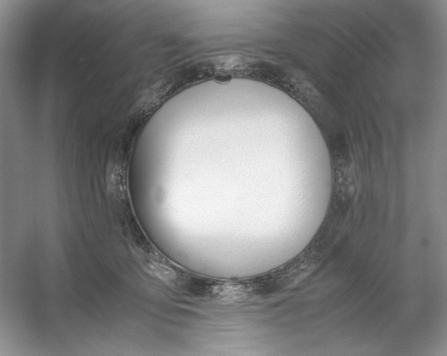 X0000053110419200507251702