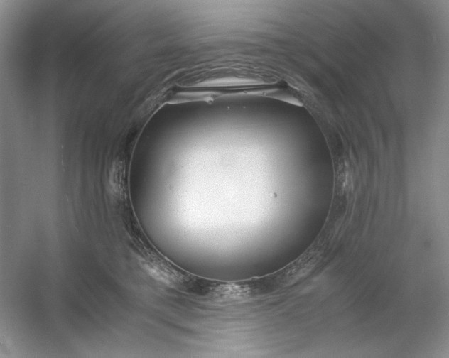 X0000053110421200507251702