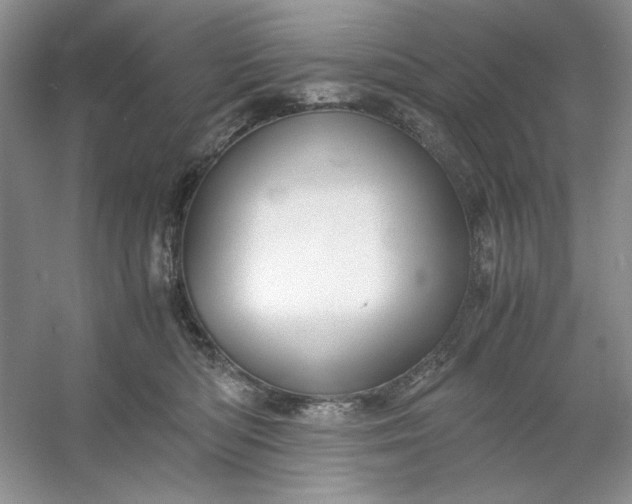 X0000053110422200507251702