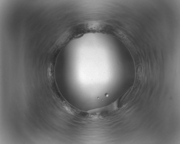 X0000053110424200507251702