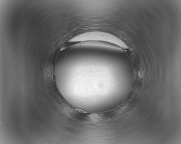 X0000053110425200507251702