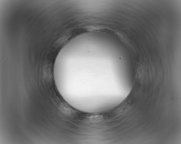 X0000053110426200507251702