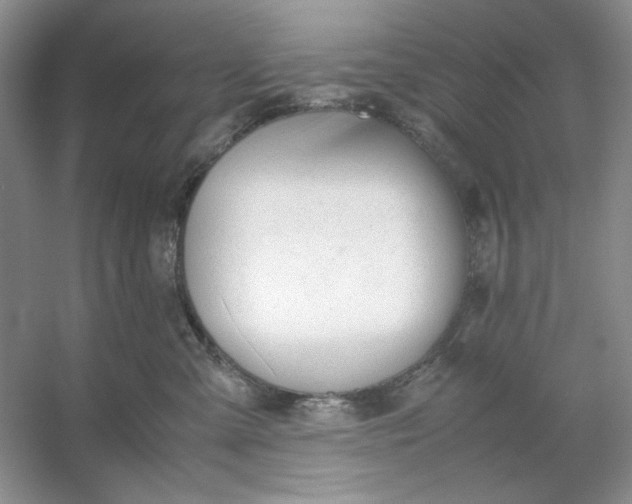 X0000053110427200507251702