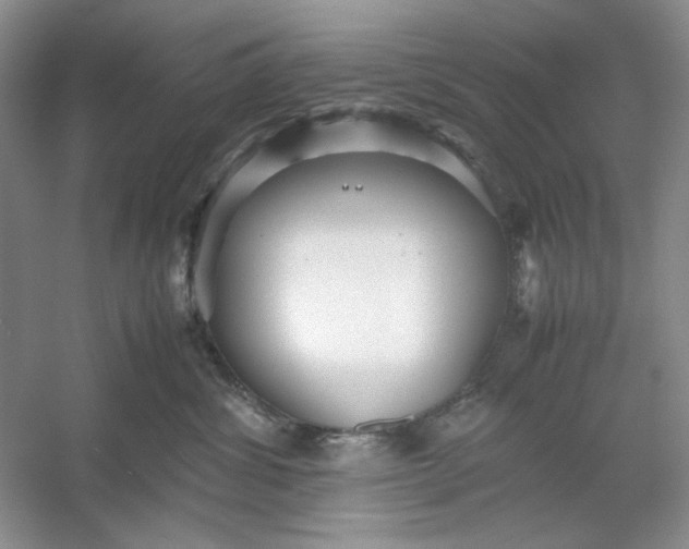 X0000053110428200507251702