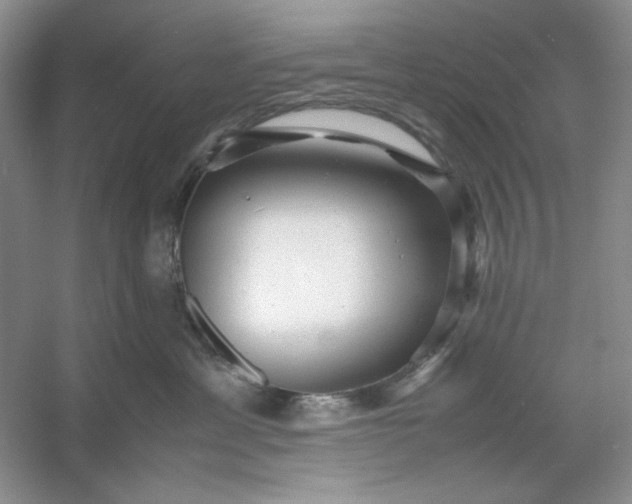 X0000053110429200507251702