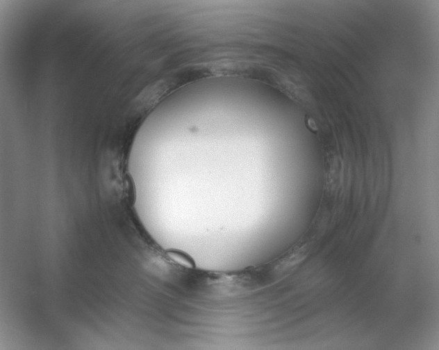 X0000053110430200507251702