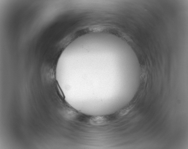 X0000053110431200507251702