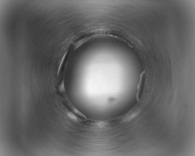 X0000053110432200507251702