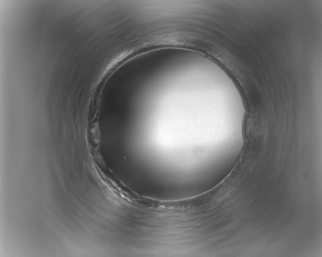 X0000053110434200507251701