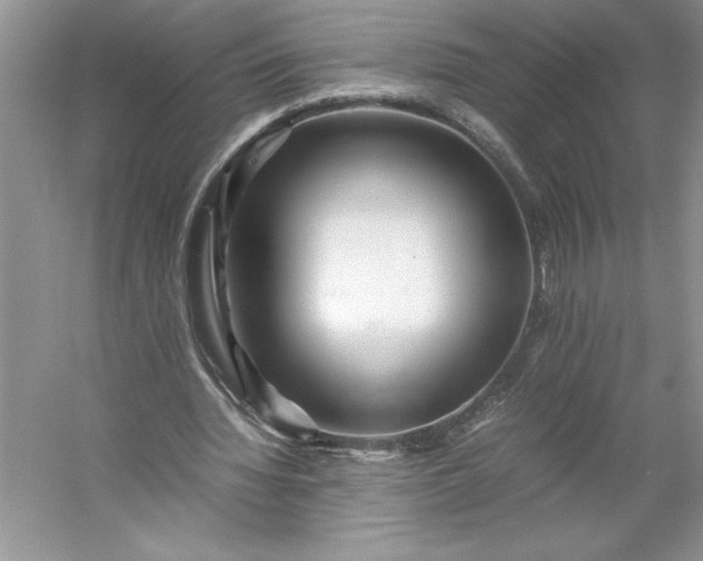 X0000053110436200507251701