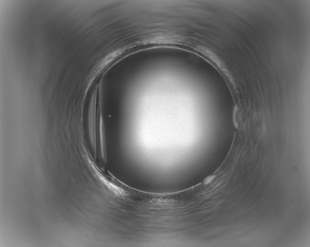 X0000053110437200507251701