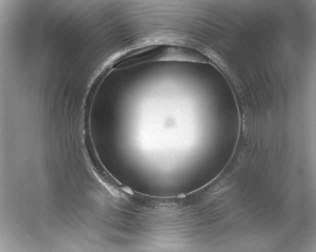 X0000053110438200507251701