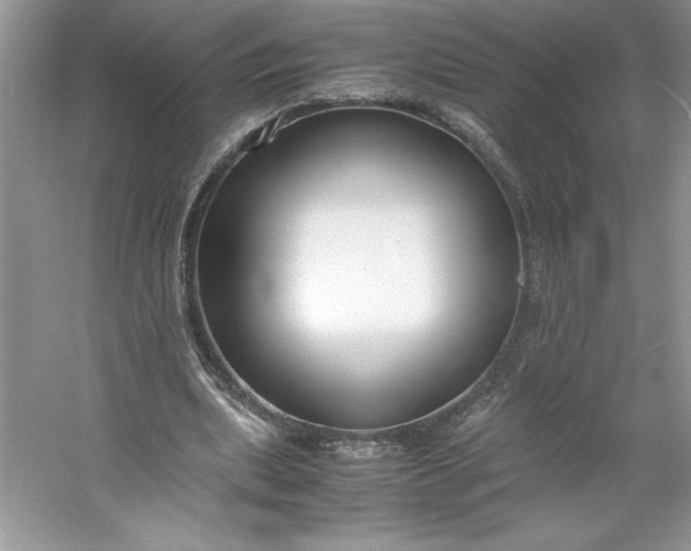 X0000053110439200507251701